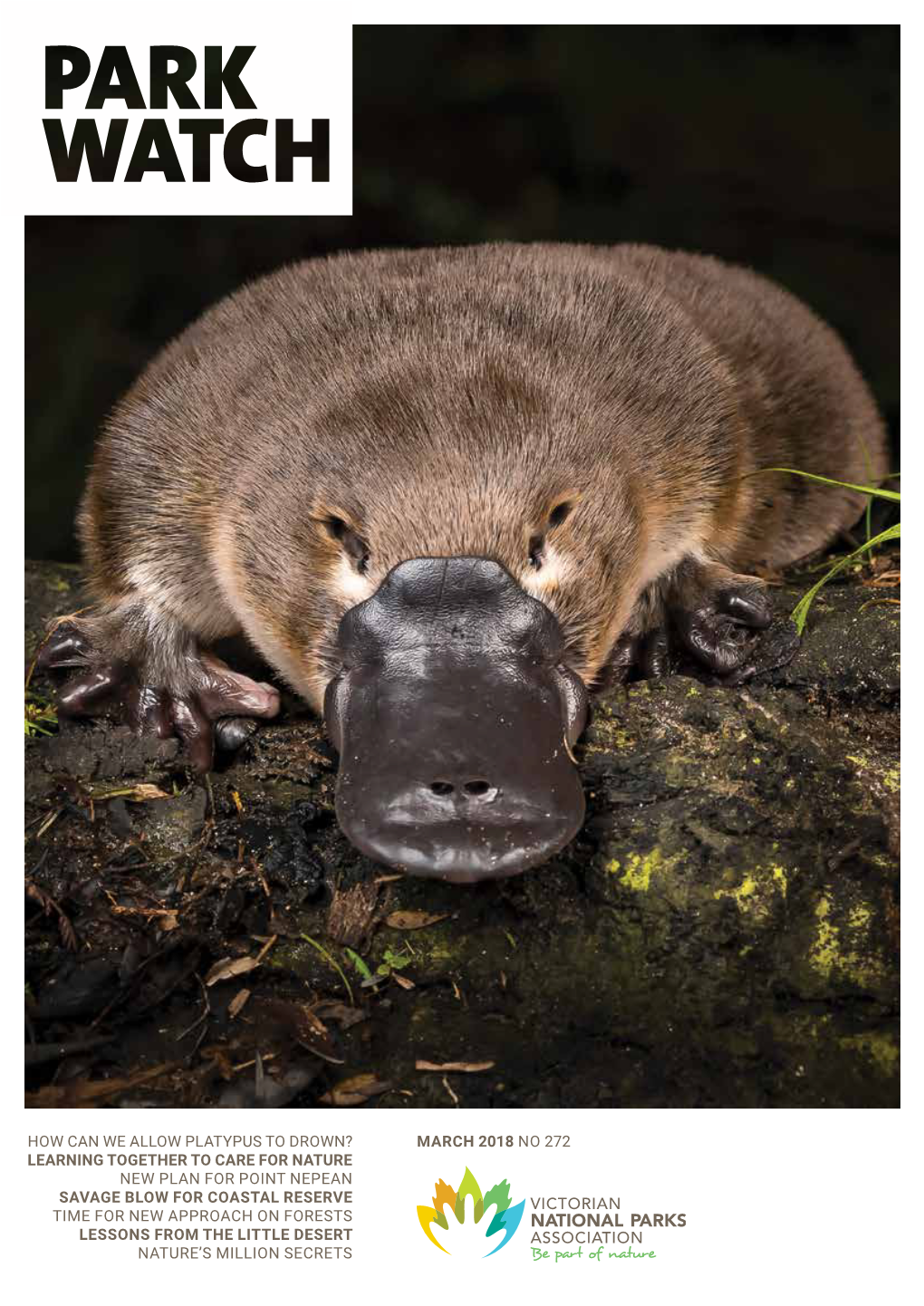 March 2018 No 272 How Can We Allow Platypus