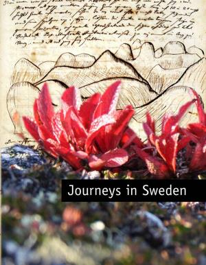 Journeys in Sweden Swedish Adventures