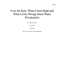 Even the Rain: What It Gets Right and What It Gets Wrong About Water Privatization