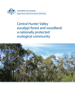 Central Hunter Valley Eucalypt Forest and Woodland