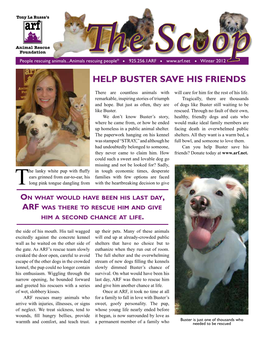 Help Buster Save His Friends