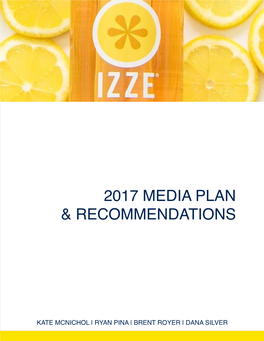 2017 Media Plan & Recommendations