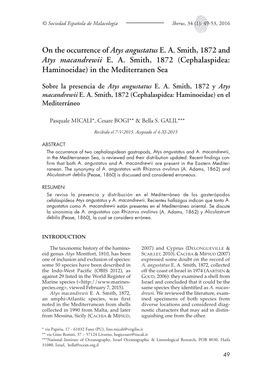 Cephalaspidea: Haminoeidae) in the Mediterranen Sea