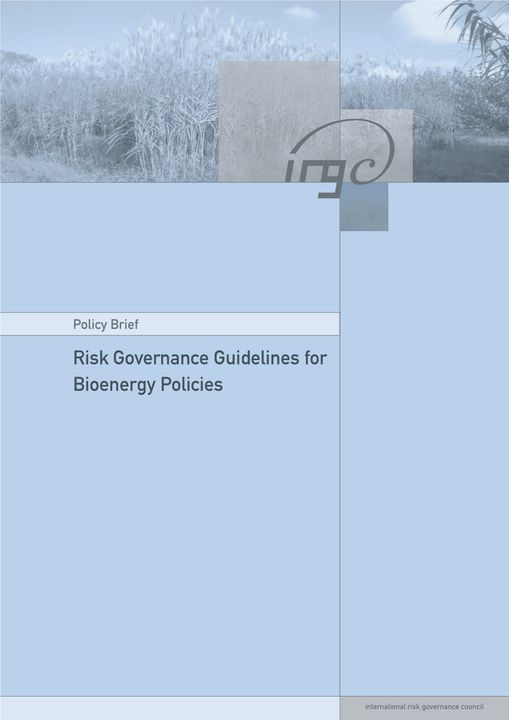 Risk Governance Guidelines for Bioenergy Policies