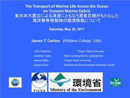 The Transport of Marine Life Across the Ocean on Tsunami Marine Debris 東日本大震災による津波にともなう漂着瓦礫がもたらした 海洋無脊椎動物の越境移動について