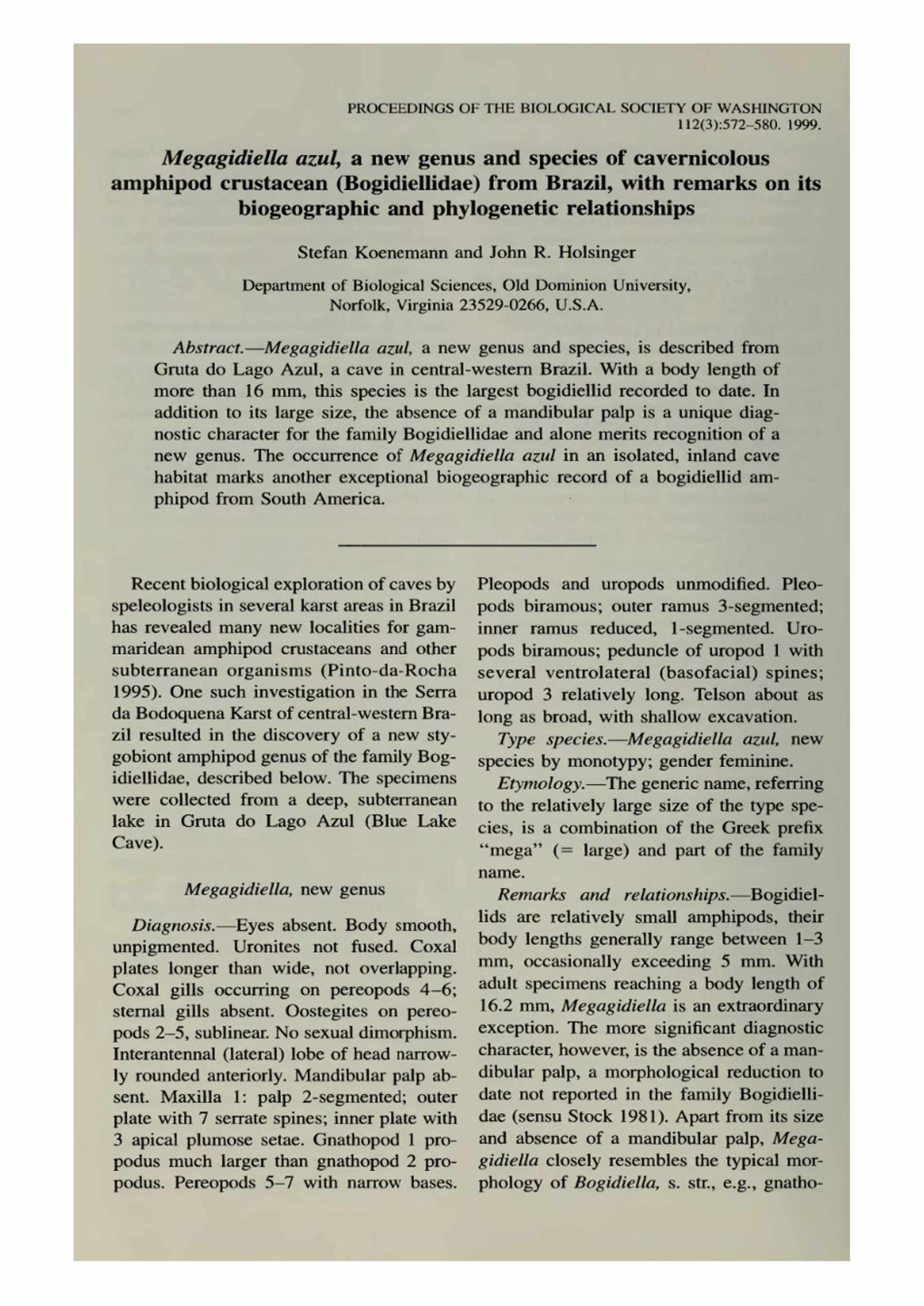 Megagidiella Azul, a New Genus and Species of Cavernicolous