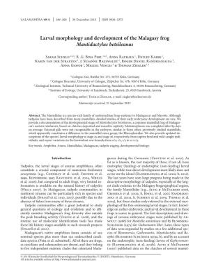 Larval Morphology and Development of the Malagasy Frog Mantidactylus Betsileanus