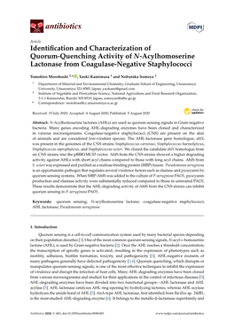 Identification and Characterization of Quorum-Quenching Activity of N