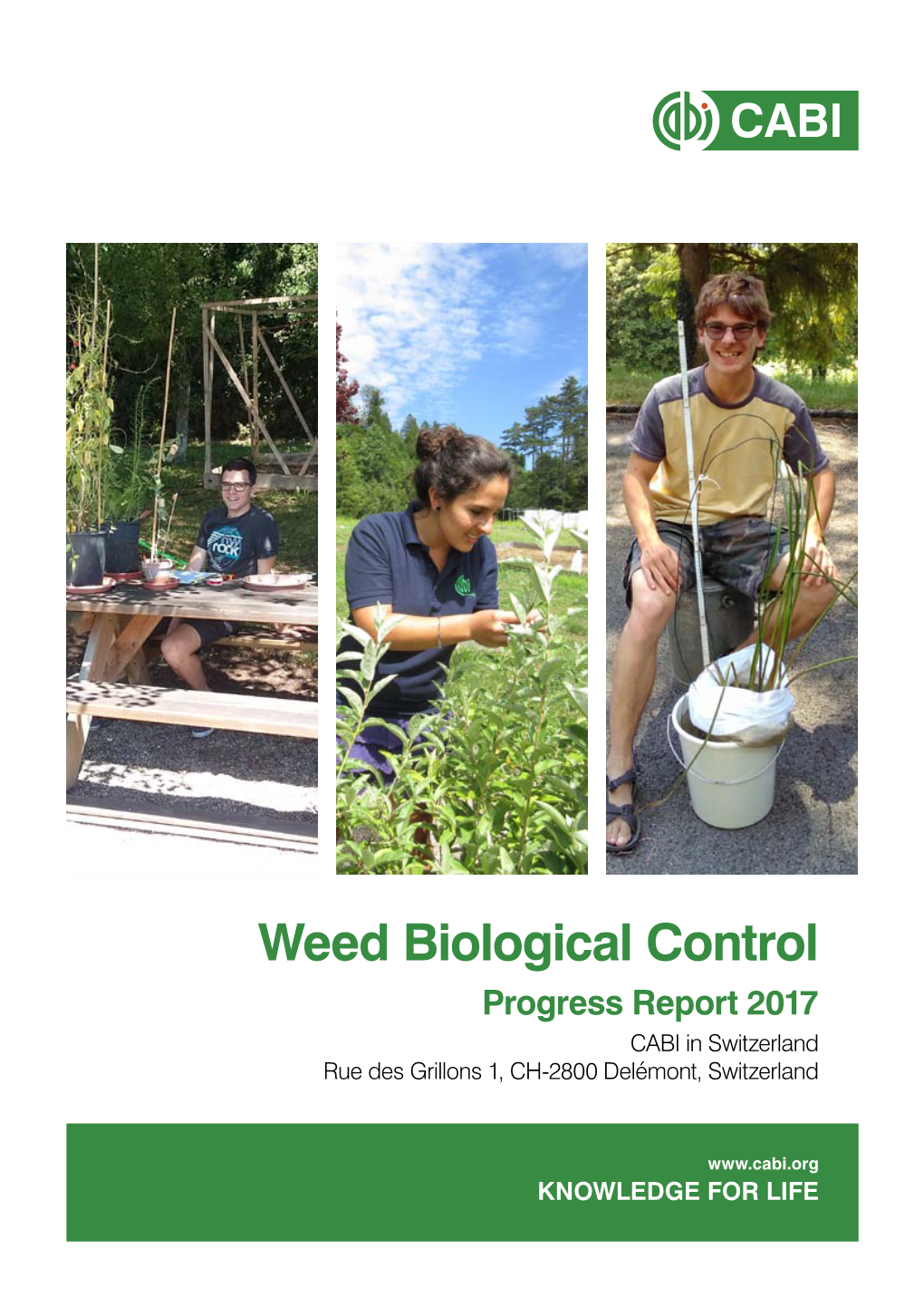 CABI Weed Biological Control Progress Report 2017