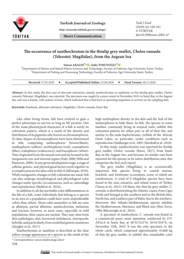 The Occurrence of Xanthochroism in the Thinlip Grey Mullet, Chelon Ramada (Teleostei: Mugilidae), from the Aegean Sea