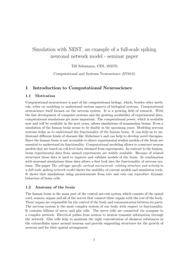 Simulation with NEST, an Example of a Full-Scale Spiking Neuronal Network Model - Seminar Paper