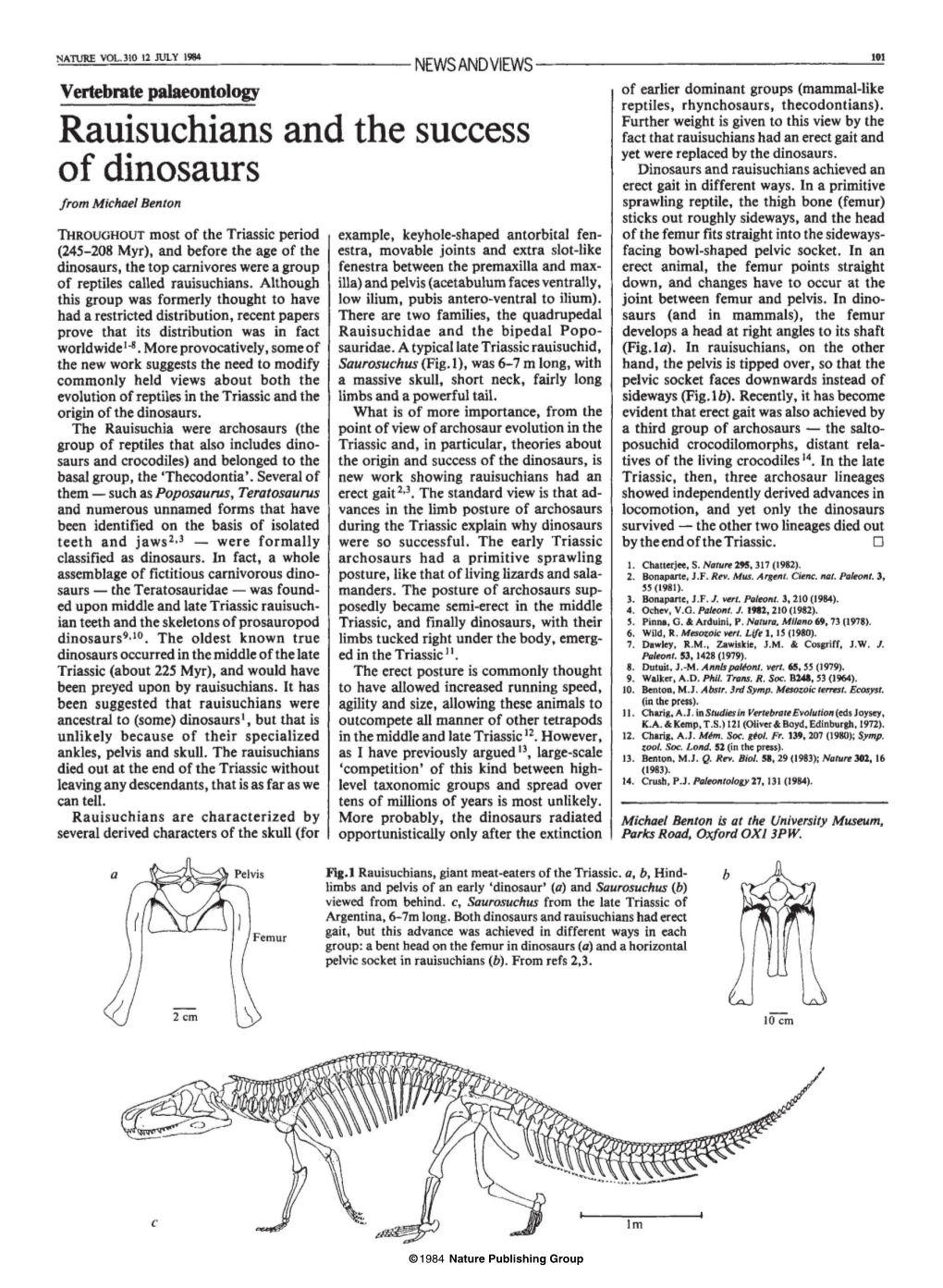 Rauisuchians and the Success of Dinosaurs