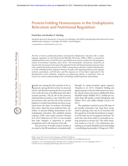 Protein-Folding Homeostasis in the Endoplasmic Reticulum and Nutritional Regulation