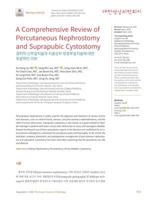 A Comprehensive Review of Percutaneous Nephrostomy and Suprapubic Cystostomy