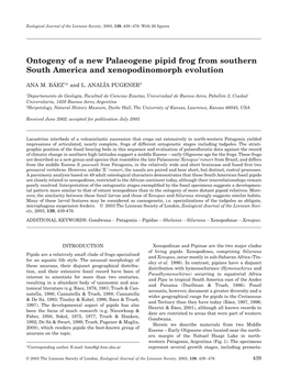 Ontogeny of a New Palaeogene Pipid Frog from Southern South America and Xenopodinomorph Evolution