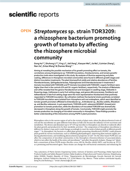 Streptomyces Sp. Strain TOR3209: a Rhizosphere Bacterium Promoting