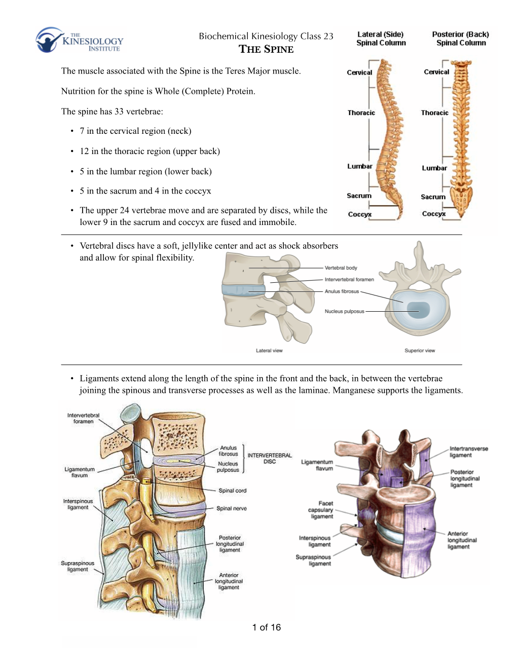 Biochemical Kinesiology Class 23 Text