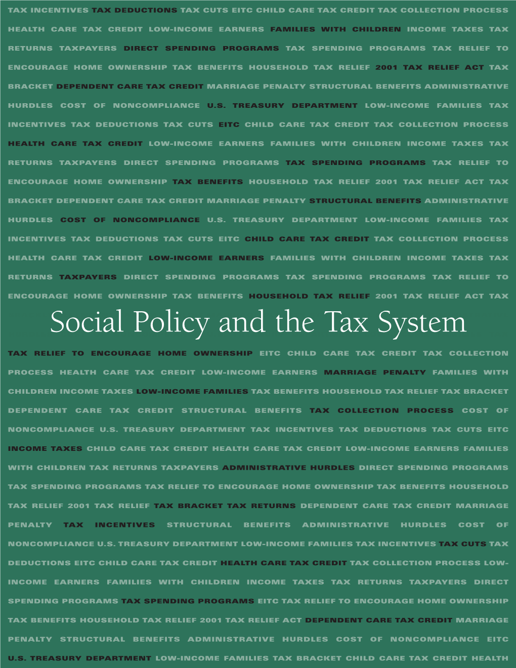 Social Policy and the Tax System