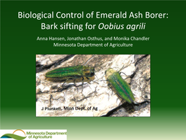 Biological Control of Emerald Ash Borer: Bark Sifting for Oobius Agrili