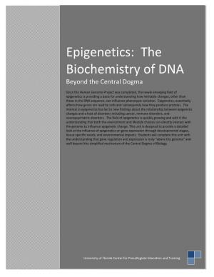 Epigenetics: the Biochemistry of DNA Beyond the Central Dogma