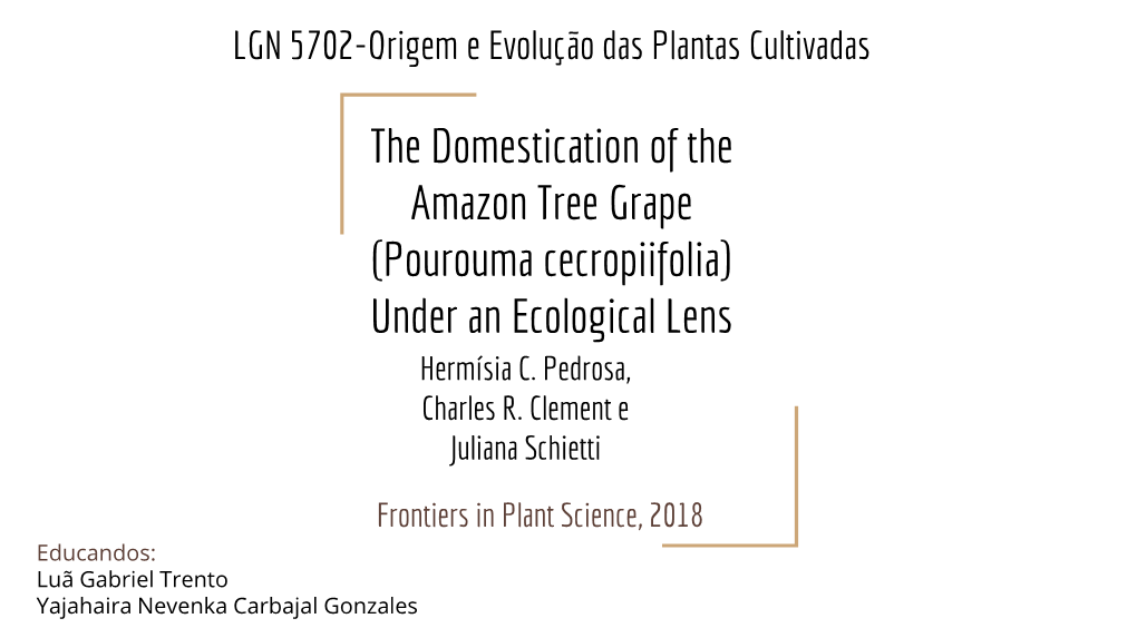 The Domestication of the Amazon Tree Grape (Pourouma Cecropiifolia) Under an Ecological Lens Hermísia C