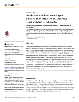 New Proposal of Setal Homology in Schizomida and Revision of Surazomus (Hubbardiidae) from Ecuador