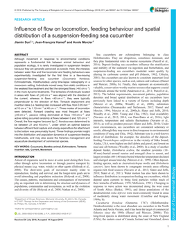 Influence of Flow on Locomotion, Feeding Behaviour and Spatial