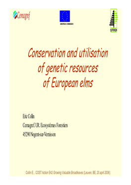 Conservation and Utilisation of Genetic Resources of European Elms