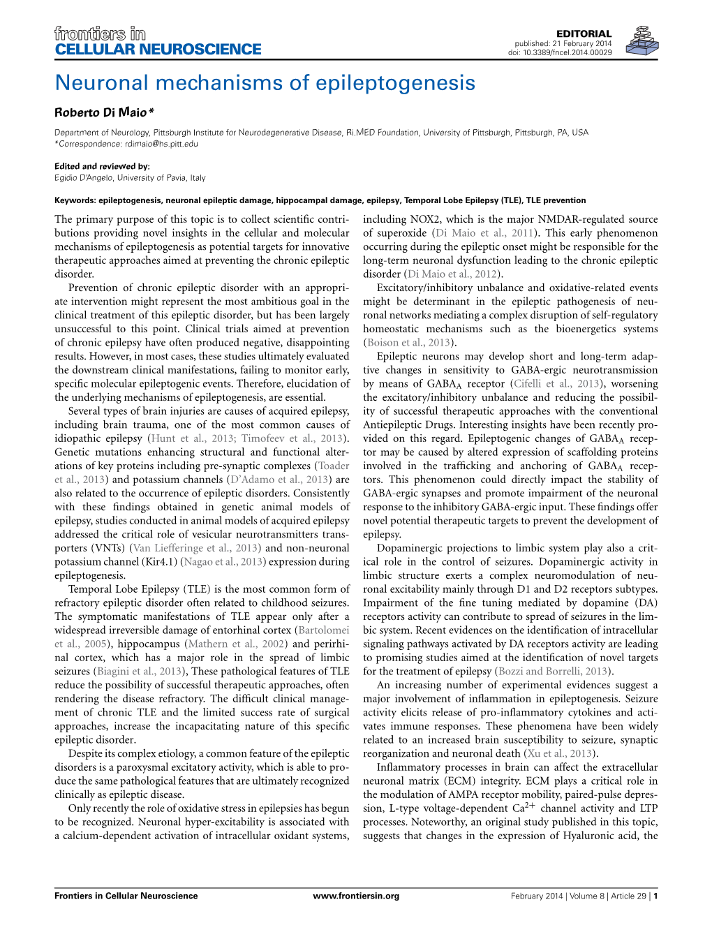 Neuronal Mechanisms of Epileptogenesis