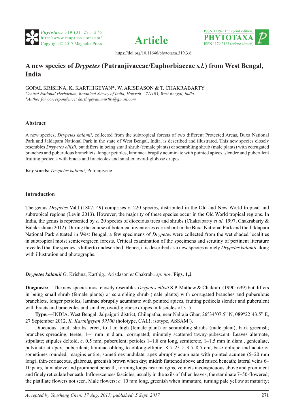 A New Species of Drypetes (Putranjivaceae/Euphorbiaceae S.L.) from West Bengal, India