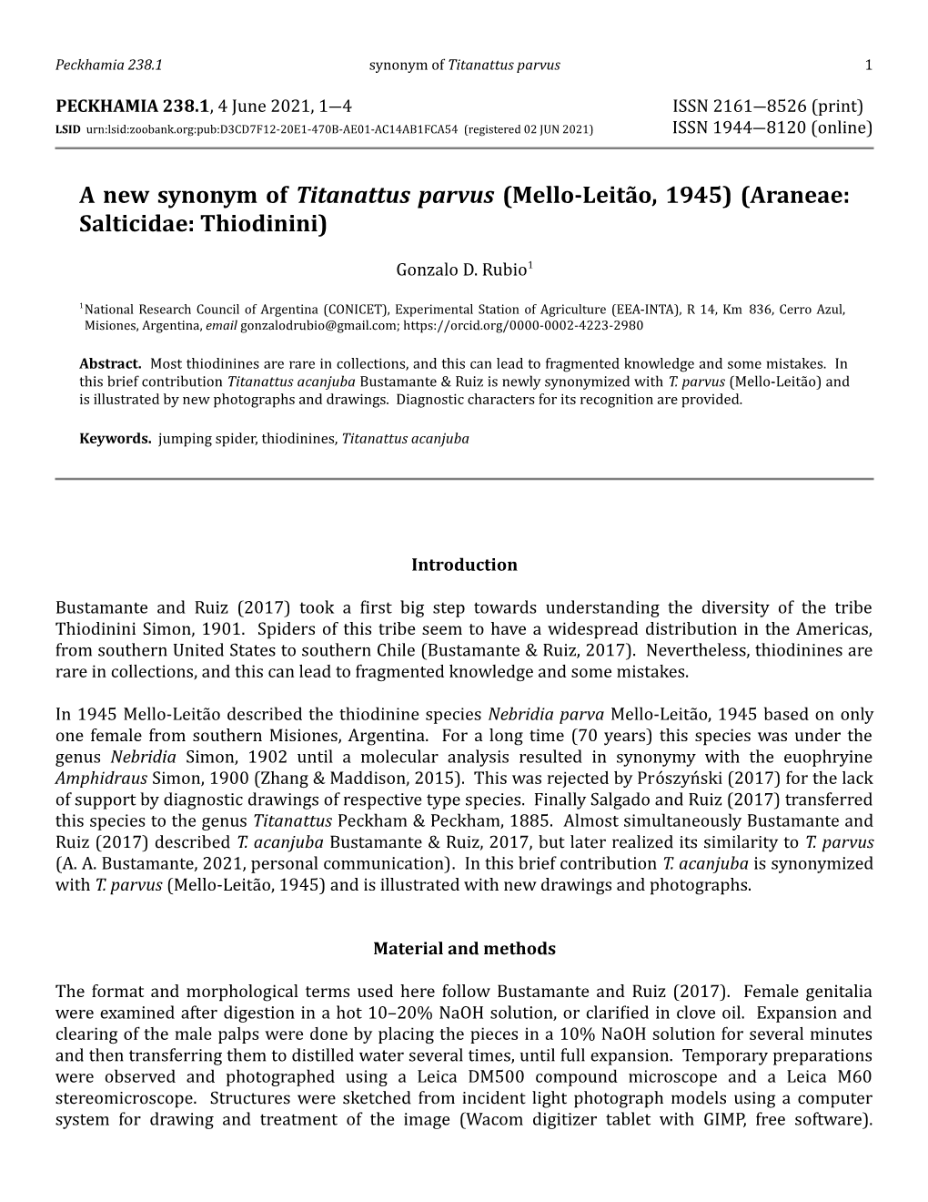 Mello-Leitão, 1945) (Araneae: Salticidae: Thiodinini