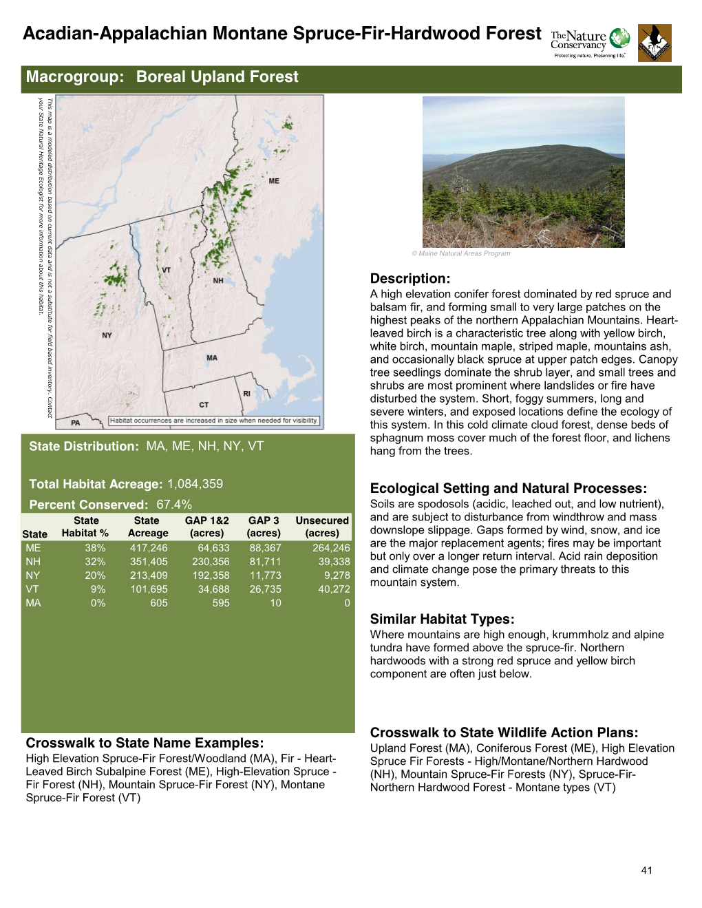 Acadian-Appalachian Montane Spruce-Fir-Hardwood Forest