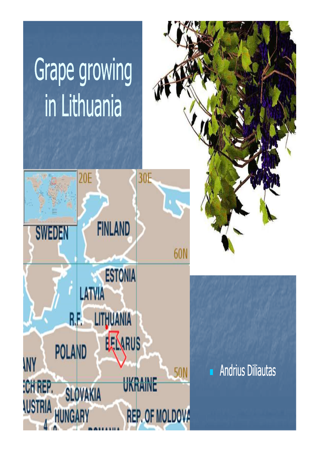 Grape Growing in Lithuania