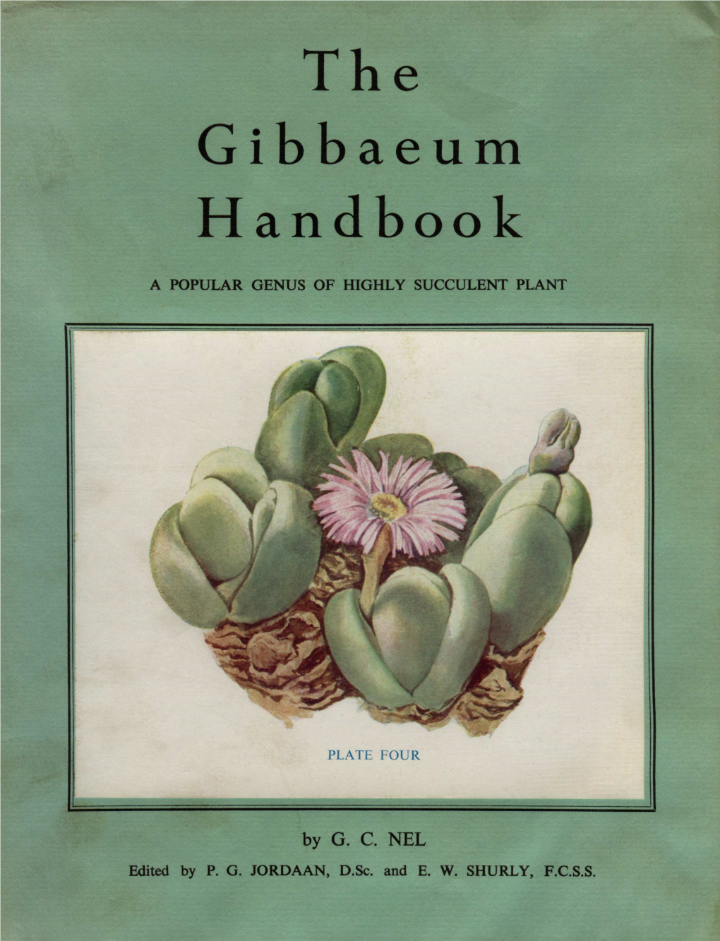 Gibbaeum Dispar in Natural Habitat, 69 24