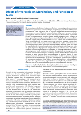 Effects of Hydrocele on Morphology and Function of Testis