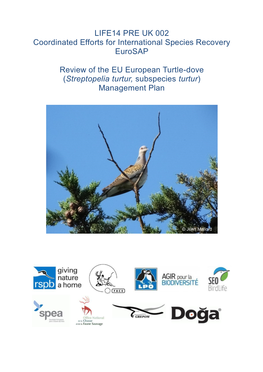 Review of the Implementation of the EU Management Plan for the European Turtle-Dove