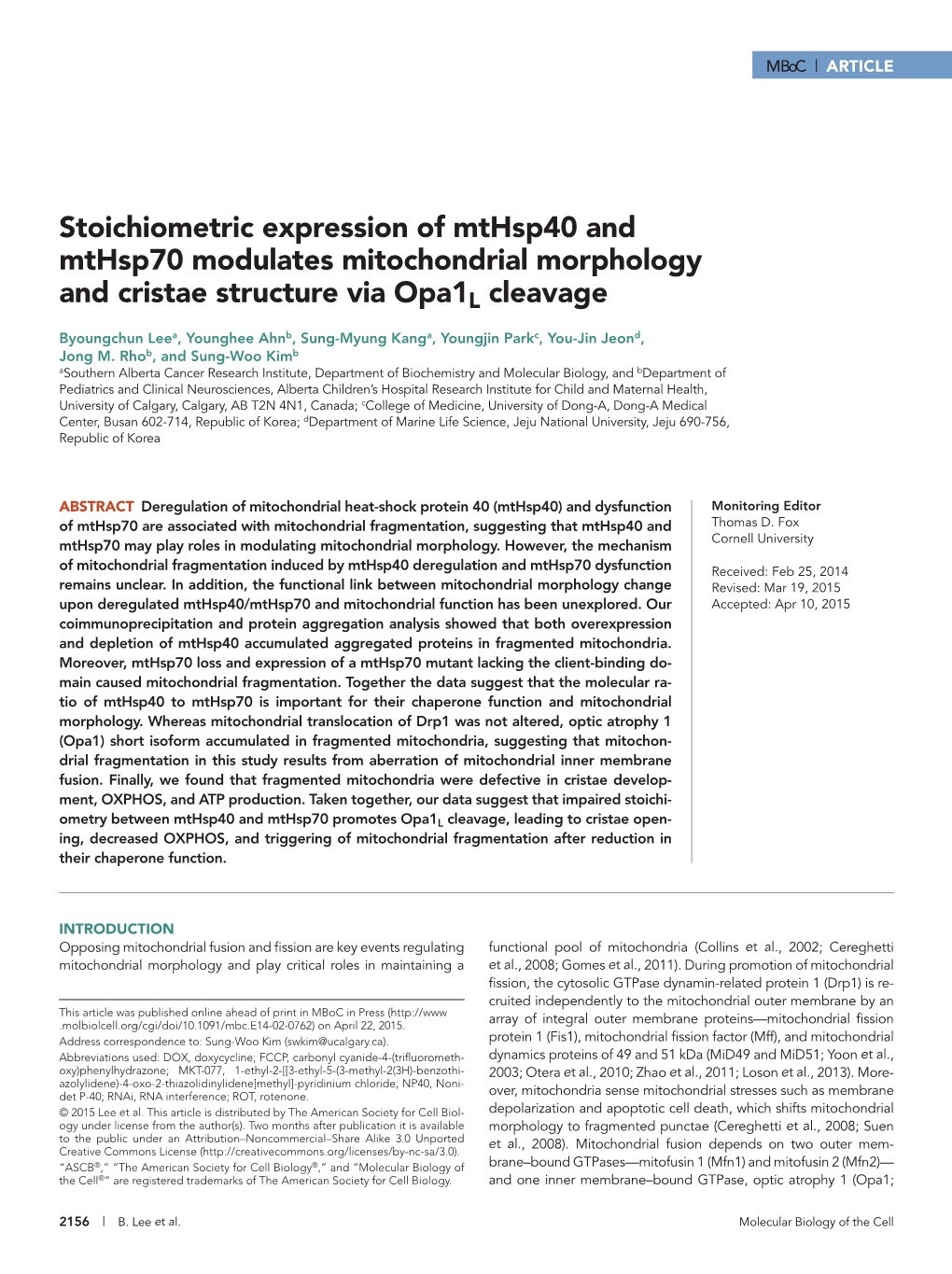 Stoichiometric Expression of Mthsp40 and Mthsp70 Modulates Mitochondrial Morphology and Cristae Structure Via Opa1l Cleavage