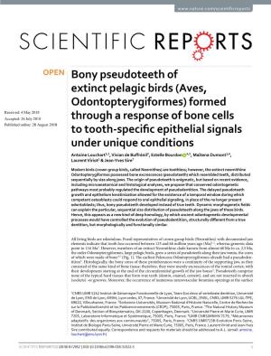 Bony Pseudoteeth of Extinct Pelagic Birds (Aves, Odontopterygiformes