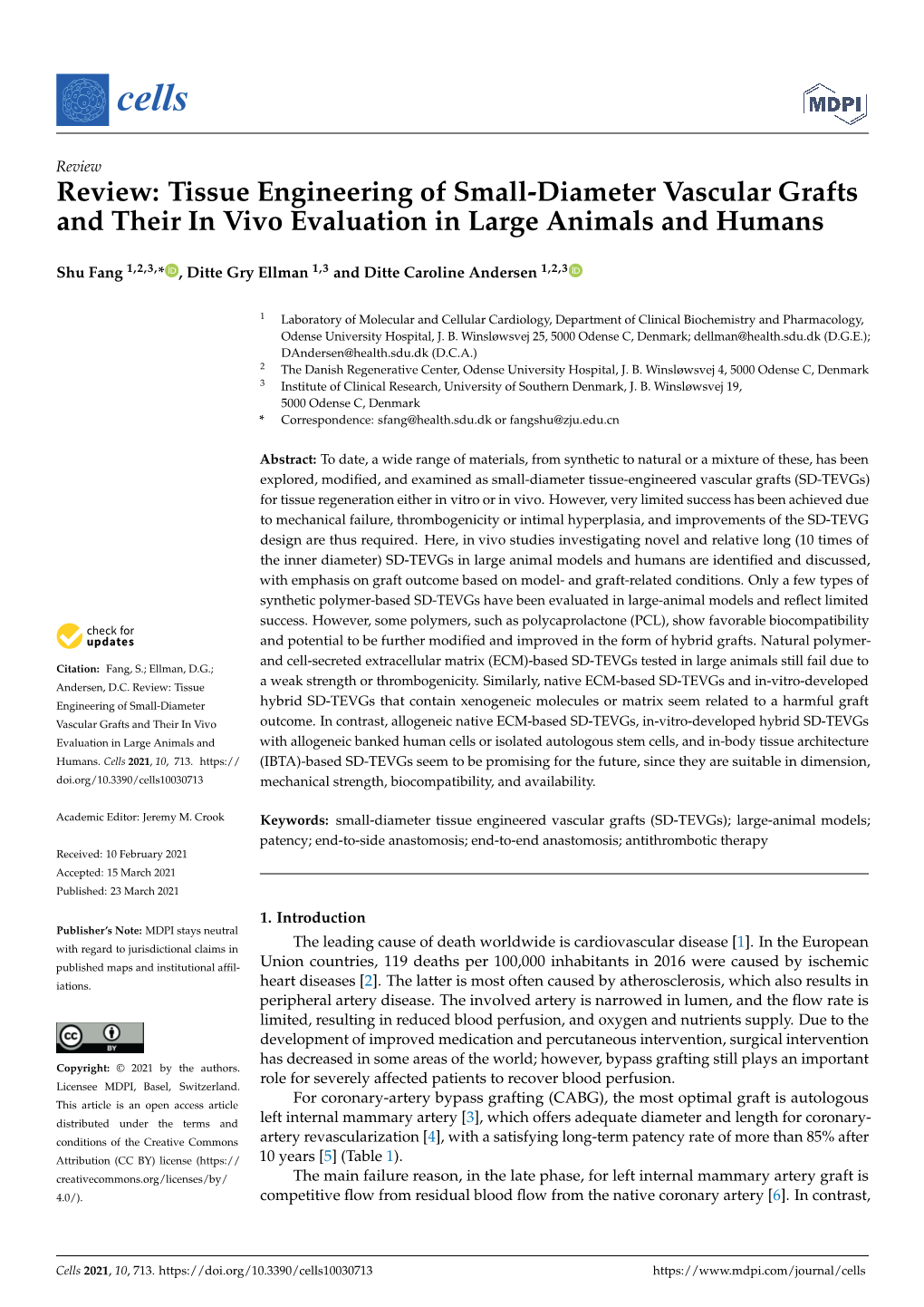 Review: Tissue Engineering of Small-Diameter Vascular Grafts and Their ...