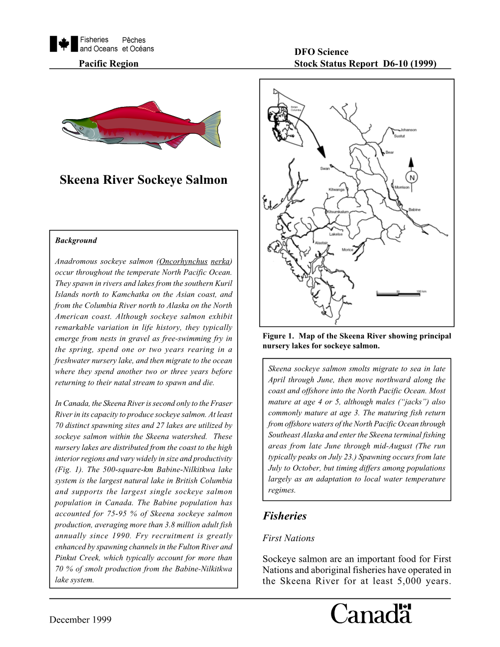 Skeena River Sockeye Salmon