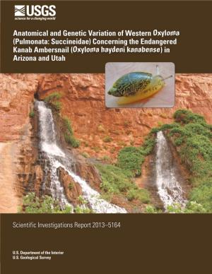 Concerning the Endangered Kanab Ambersnail (Oxyloma Haydeni Kanabense) in Arizona and Utah