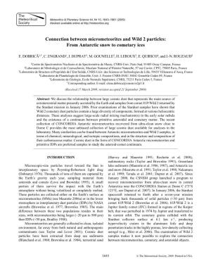 Connection Between Micrometeorites and Wild 2 Particles: from Antarctic Snow to Cometary Ices