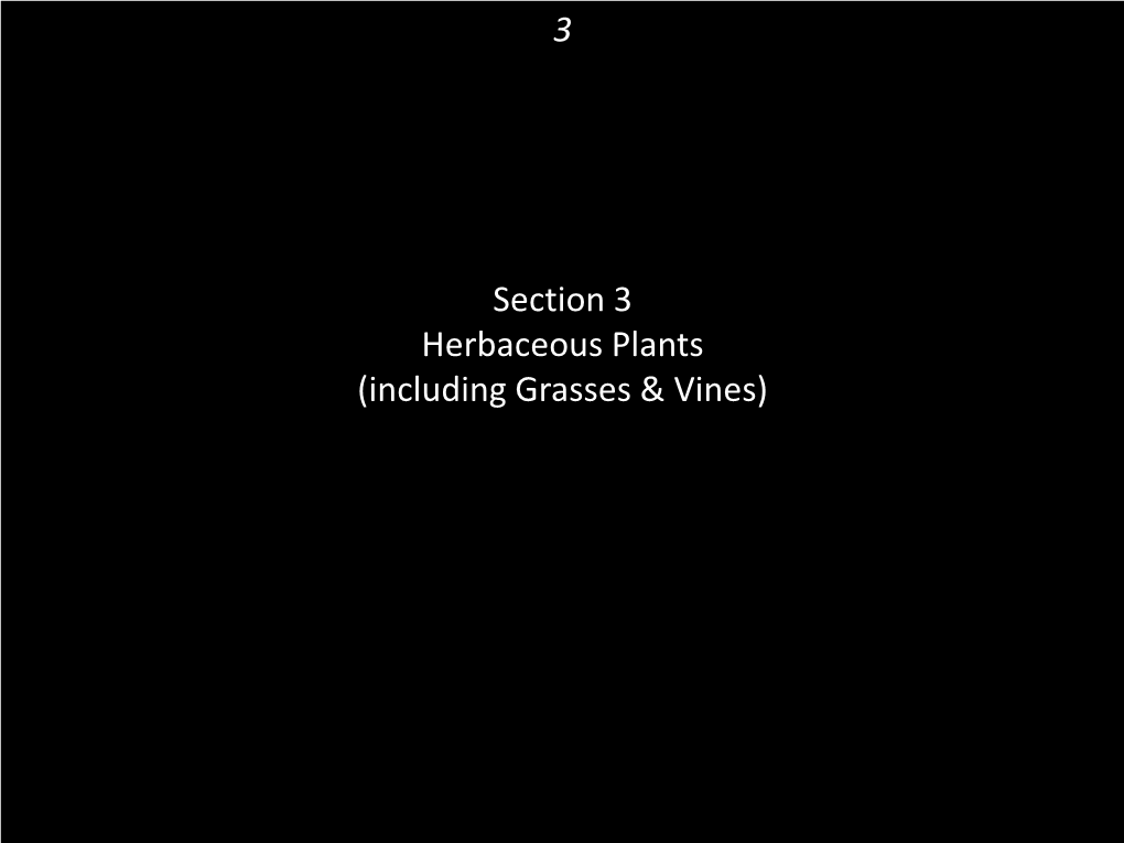 3 Section 3 Herbaceous Plants (Including Grasses & Vines)