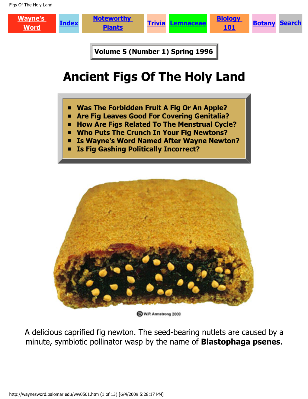 Figs of the Holy Land