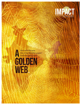 A Golden Web: How India Became One of the World's Largest Gold