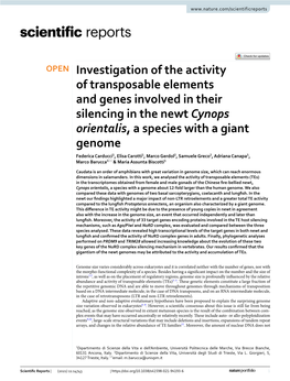 Investigation of the Activity of Transposable Elements and Genes Involved in Their Silencing in the Newt Cynops Orientalis, a Sp