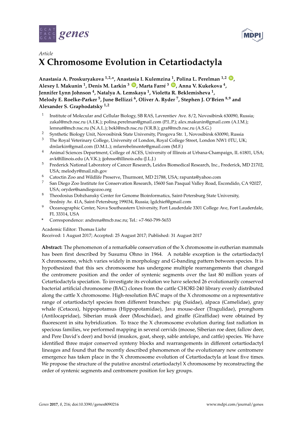 X Chromosome Evolution in Cetartiodactyla