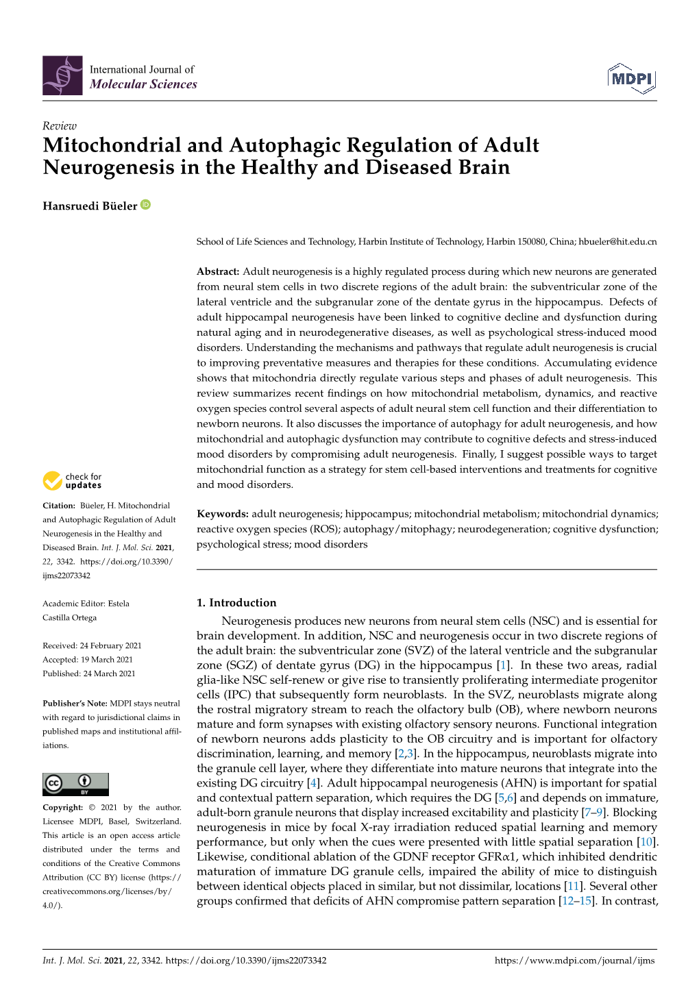 Mitochondrial and Autophagic Regulation of Adult Neurogenesis in the Healthy and Diseased Brain