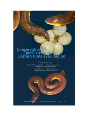 Conservation of Caecilians in the Eastern Himalayas Region 2