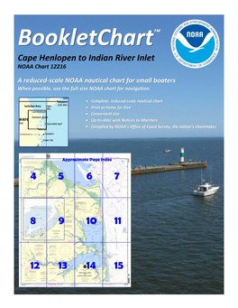 Cape Henlopen to Indian River Inlet NOAA Chart 12216